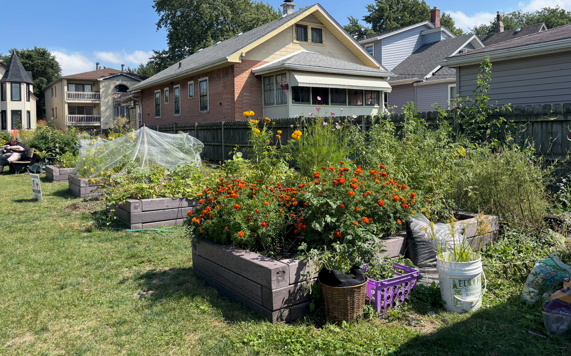 Forgotten to flourishing: Heritage students transform school garden