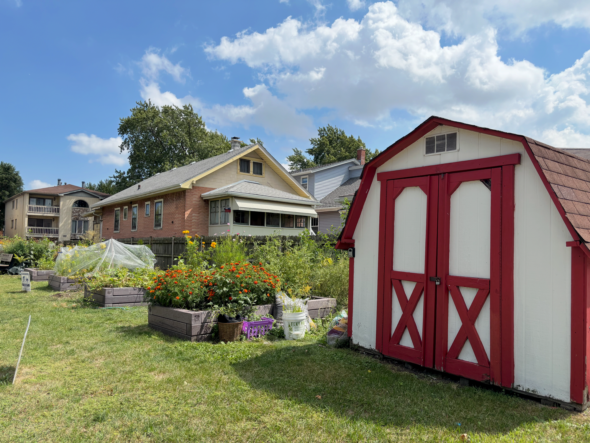 Forgotten to flourishing: Heritage students transform school garden